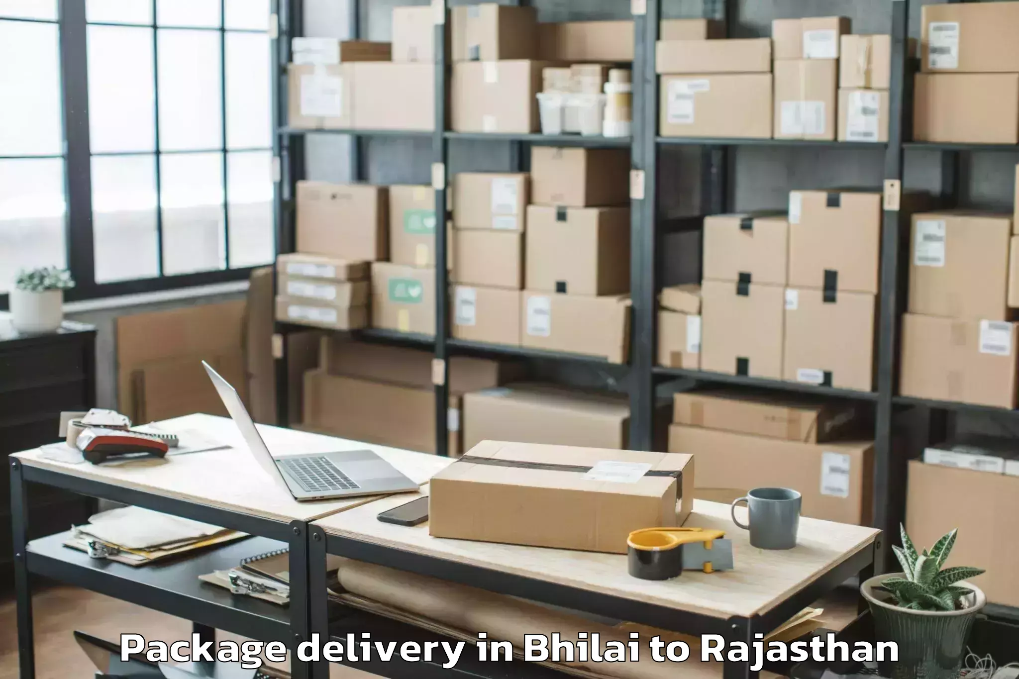 Quality Bhilai to Bayana Package Delivery